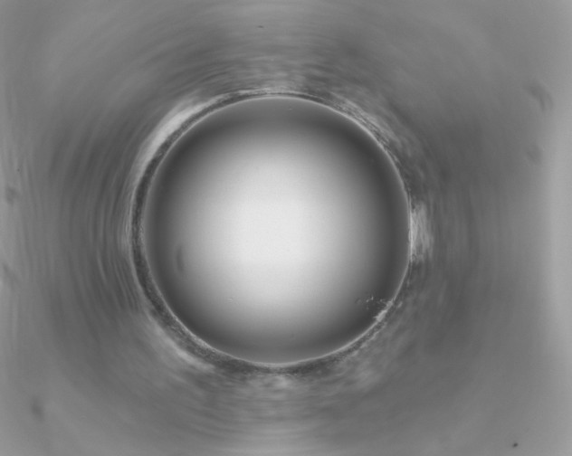 X0000090950195200708021343