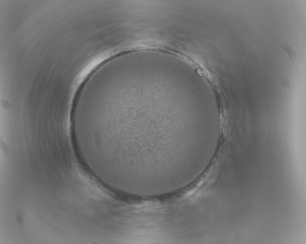 X0000090950196200708021343