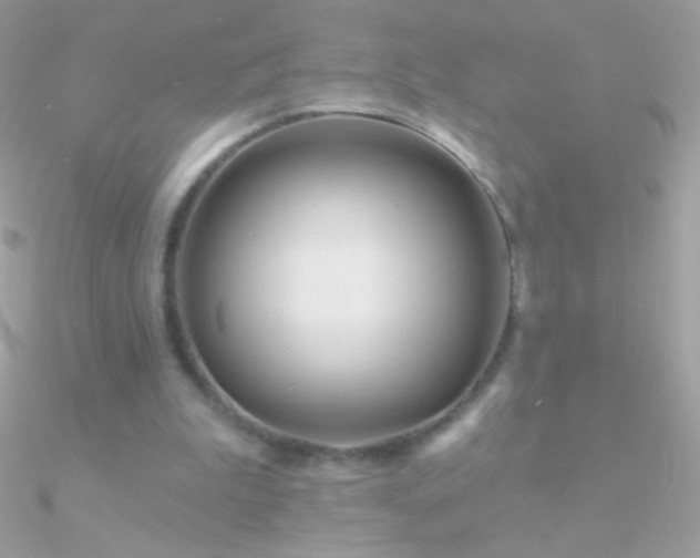 X0000090950199200708021343