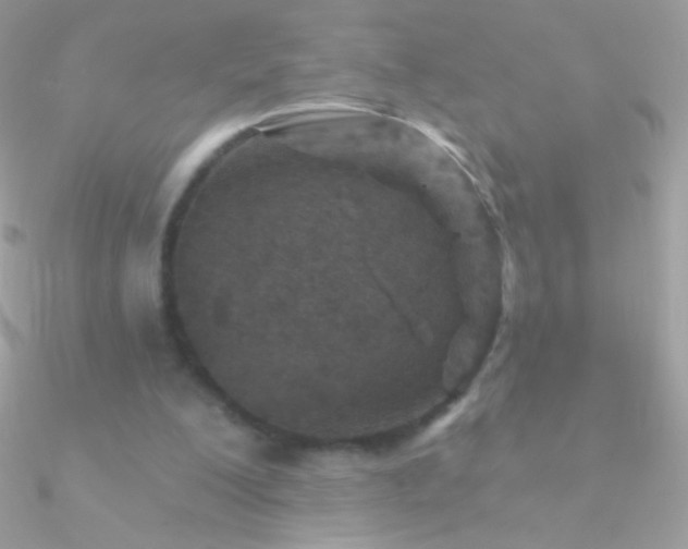 X0000090950200200708021343