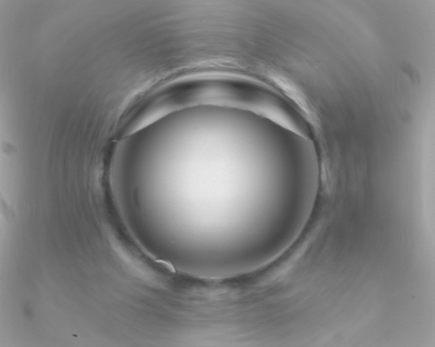 X0000090950201200708021343