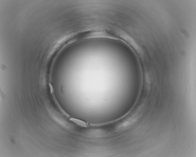 X0000090950203200708021343