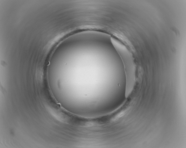 X0000090950204200708021343
