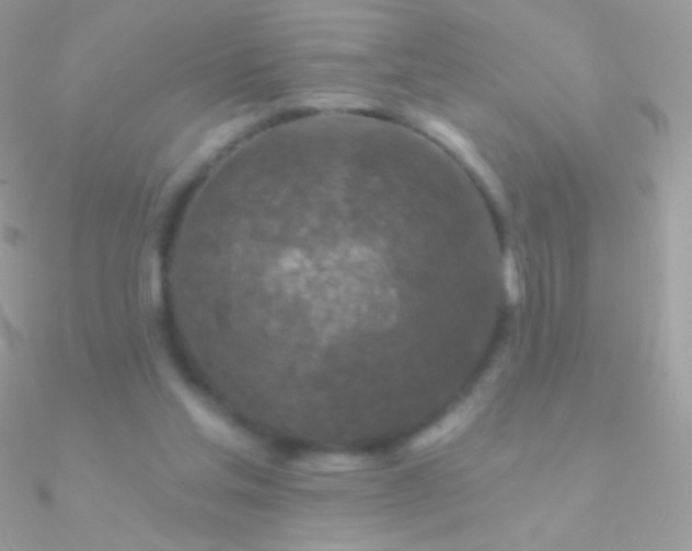 X0000090950205200708021343