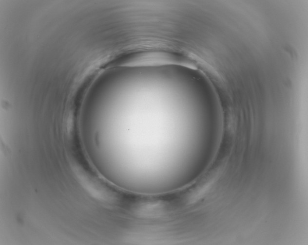 X0000090950206200708021343