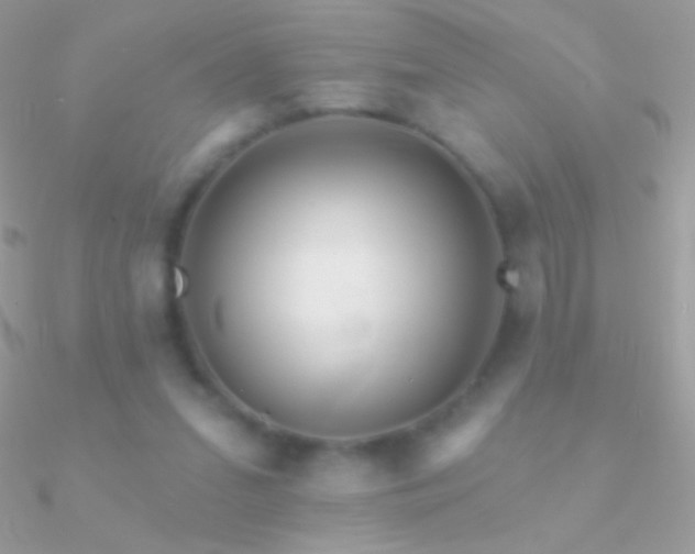 X0000090950207200708021343
