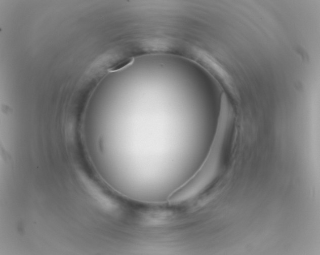 X0000090950209200708021343