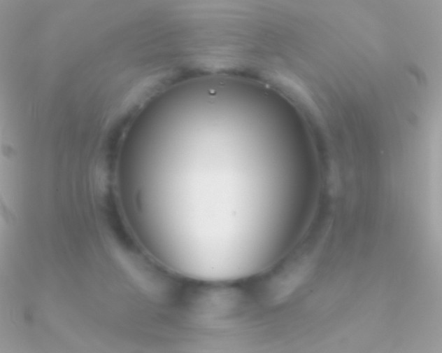 X0000090950210200708021343