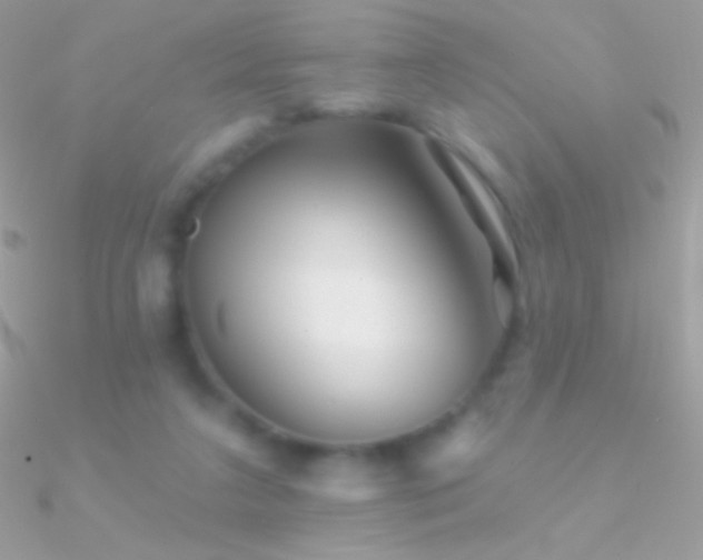 X0000090950211200708021343