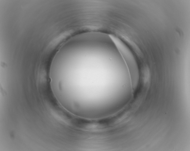 X0000090950212200708021343