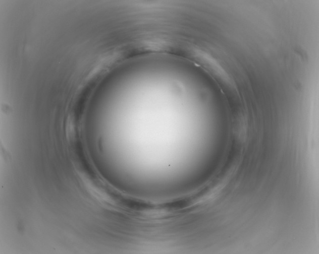 X0000090950213200708021343