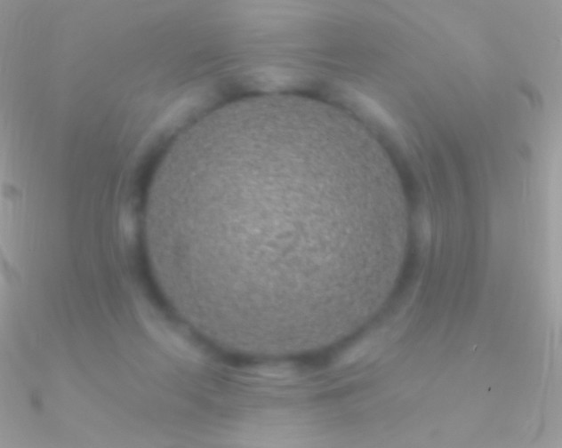 X0000090950214200708021343