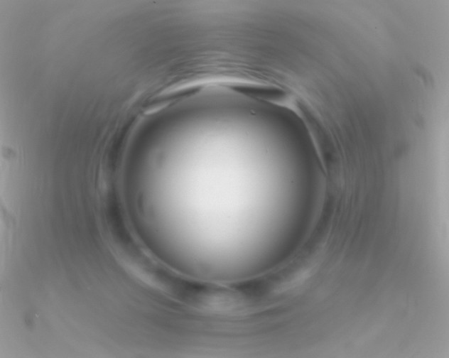 X0000090950215200708021343