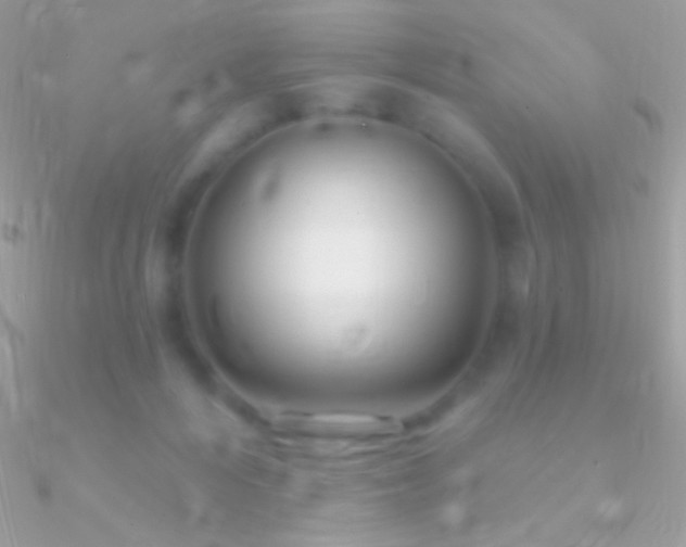 X0000090950216200708021343