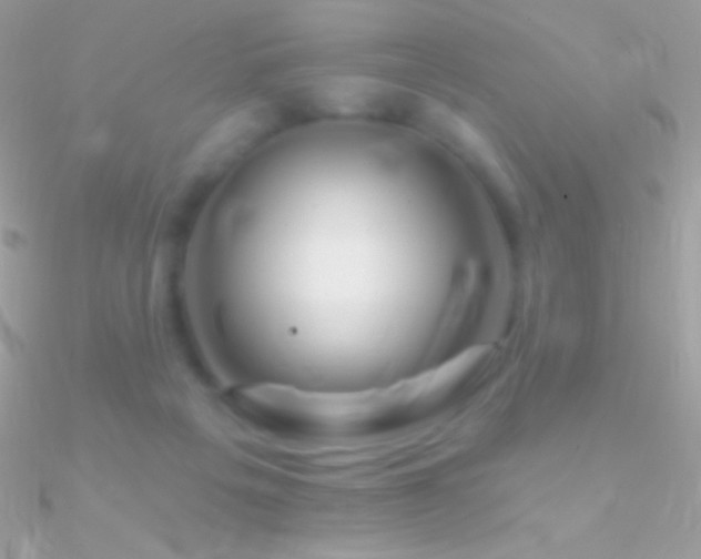 X0000090950217200708021343