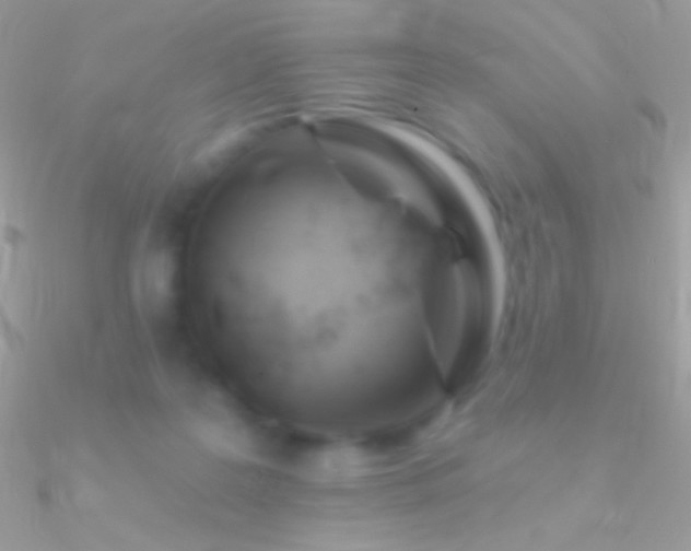X0000090950219200708021343