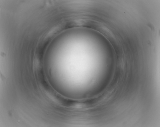 X0000090950220200708021343