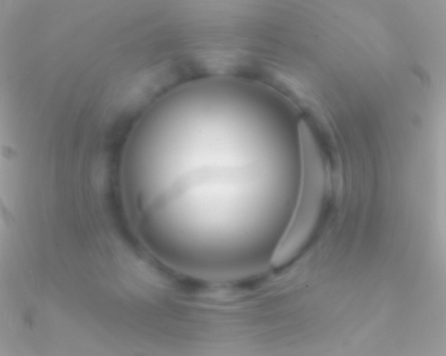 X0000090950221200708021343