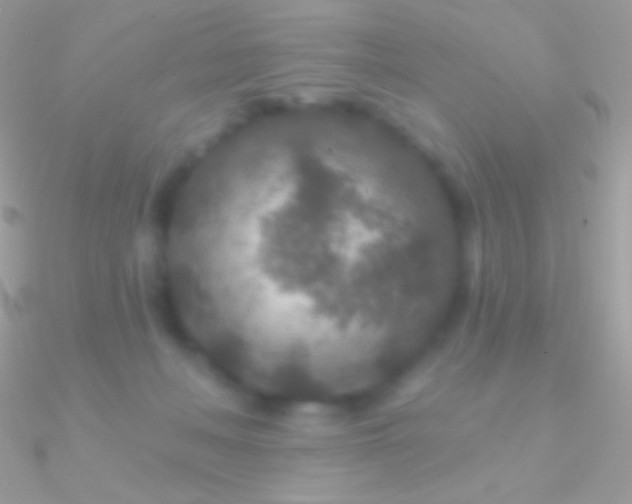 X0000090950222200708021343