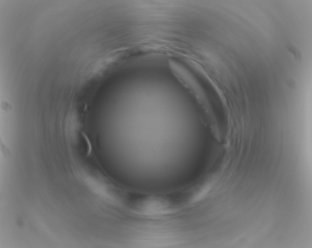 X0000090950223200708021343