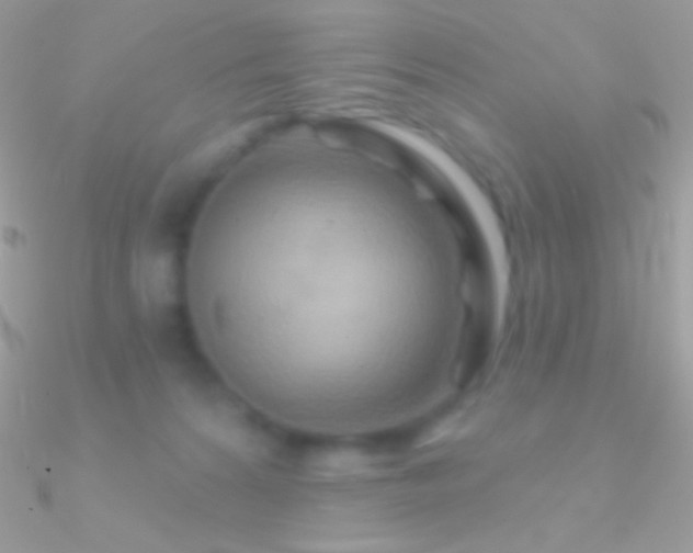 X0000090950224200708021343