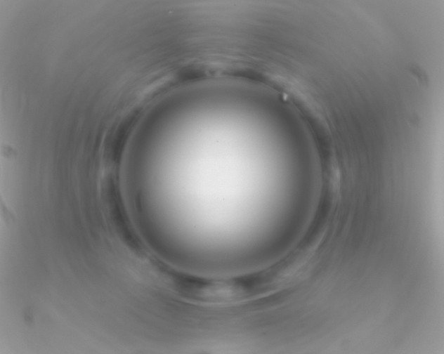 X0000090950225200708021343