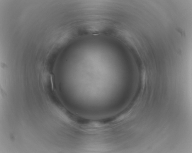 X0000090950227200708021343
