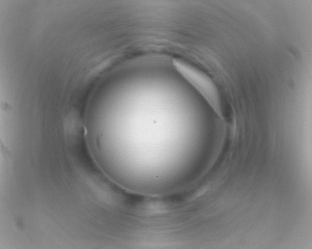 X0000090950228200708021343