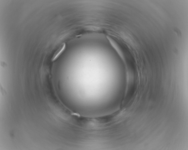 X0000090950229200708021343