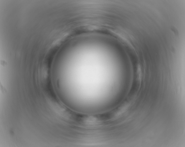 X0000090950230200708021343