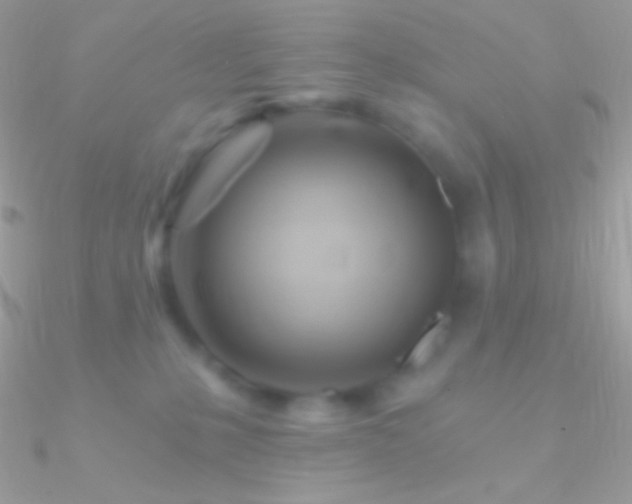 X0000090950231200708021343