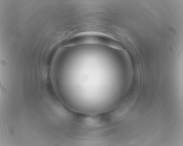 X0000090950232200708021343
