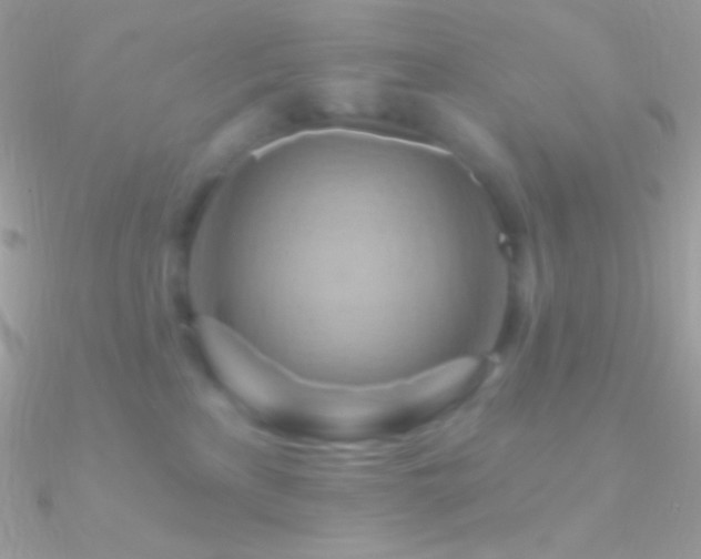 X0000090950233200708021343