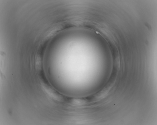 X0000090950234200708021343