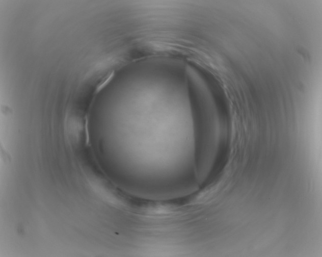 X0000090950235200708021343