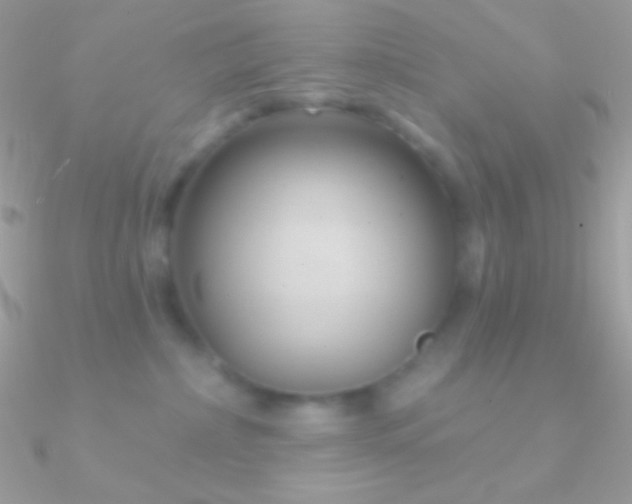X0000090950236200708021343