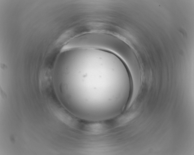 X0000090950237200708021343