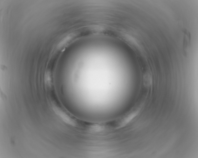 X0000090950238200708021343