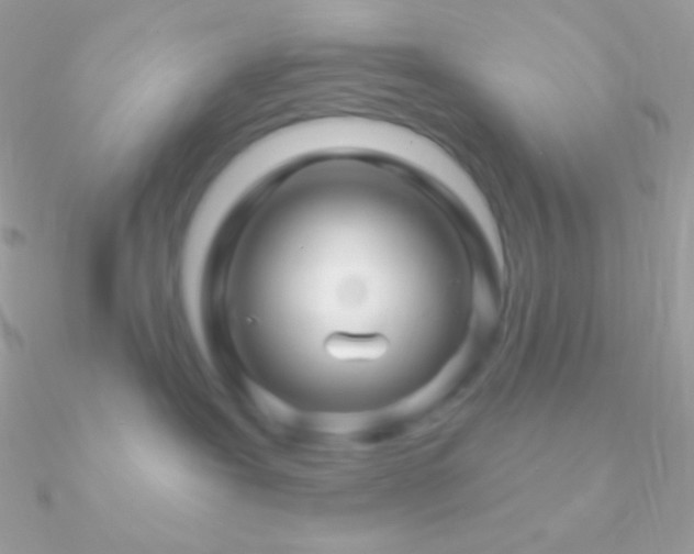 X0000090950239200708021343