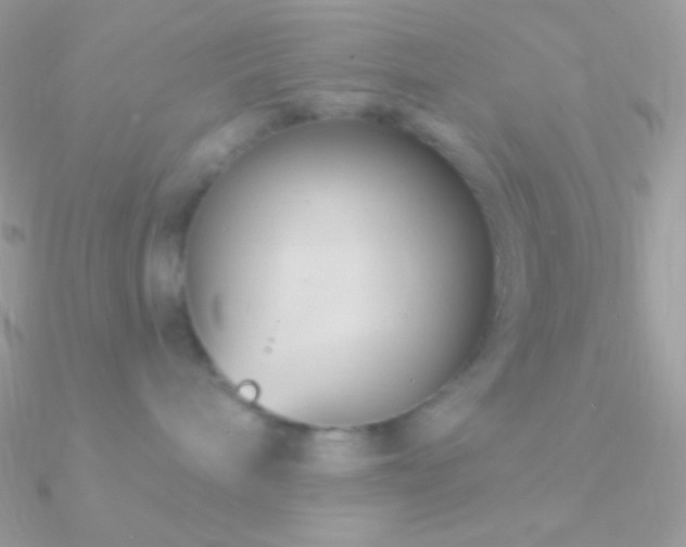 X0000090950240200708021343