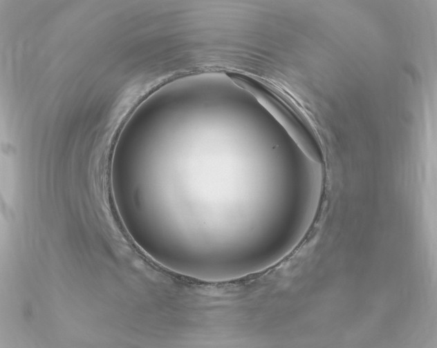 X0000090950241200708021342
