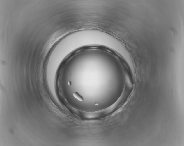 X0000090950242200708021342