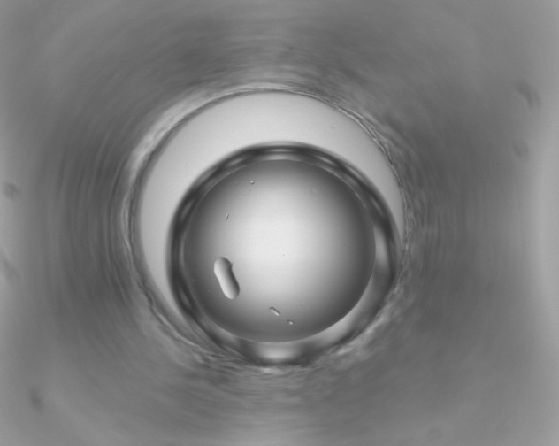 X0000090950244200708021342