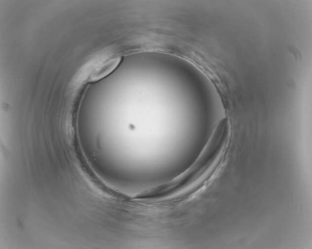 X0000090950245200708021342