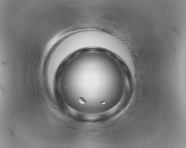 X0000090950246200708021342