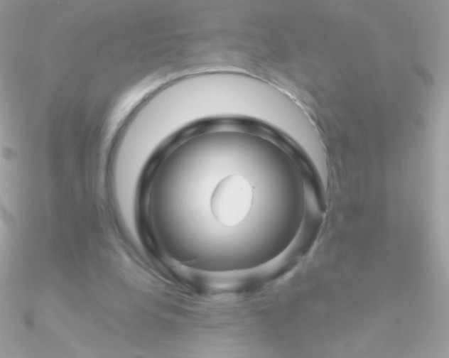 X0000090950248200708021342