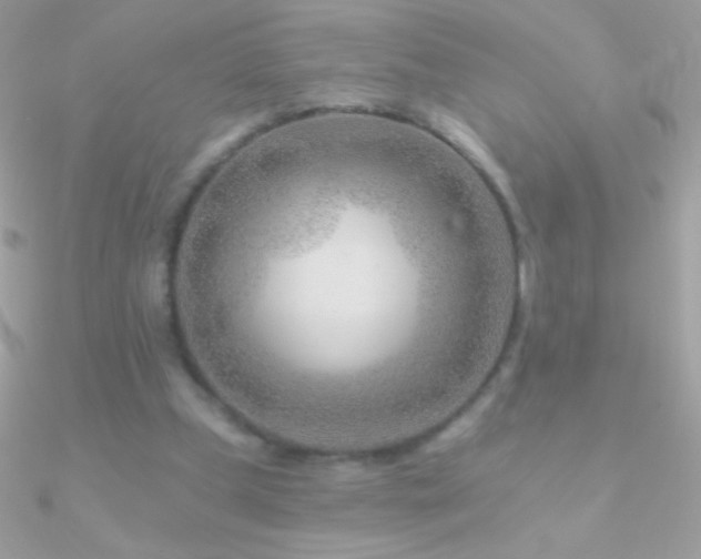 X0000090950249200708021342