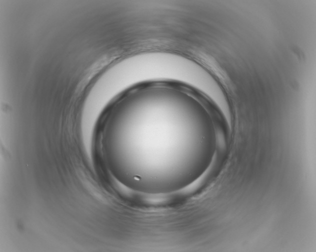 X0000090950250200708021342