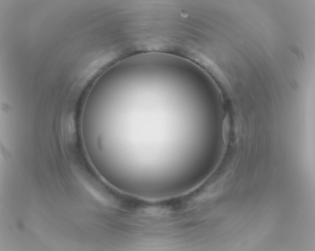 X0000090950251200708021342