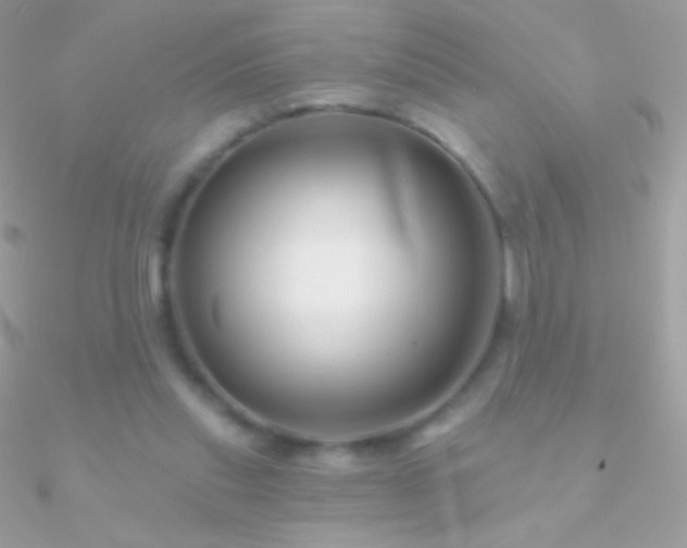 X0000090950253200708021342